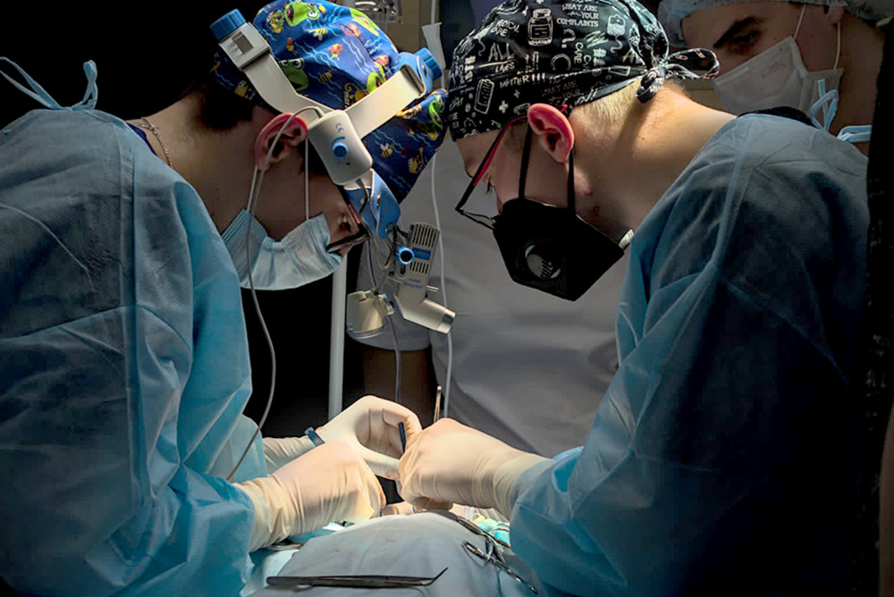 SCHOOL OF SURGERY: FROM MENTOR TO SUCCESSOR PROJECT