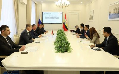 Roman Starovoit met with the Temporary Charge d’affaires of Malaysia in the Russian Federation